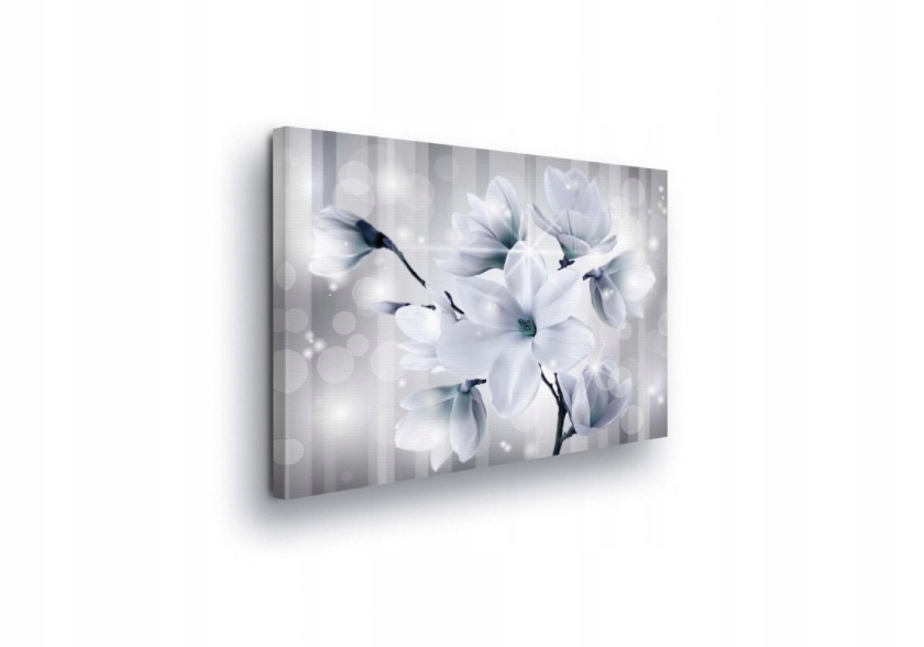 Obraz 80x60 Jemnost magnolie květy bokeh jasný klid jaro