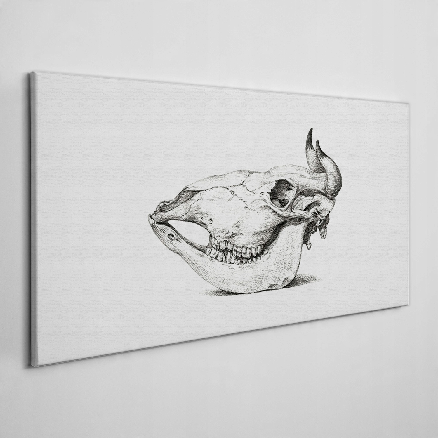 

Foto-obraz na ramie płótno Krowa czaszka 100x50 cm