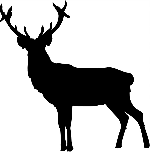 

Naklejka na auto Jeleń 11 cm w. 110