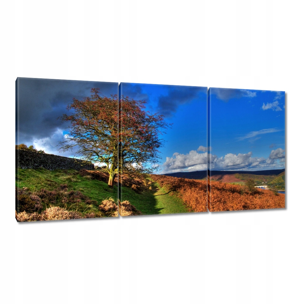 

Obrazy 120x60 Drzewko na widoku