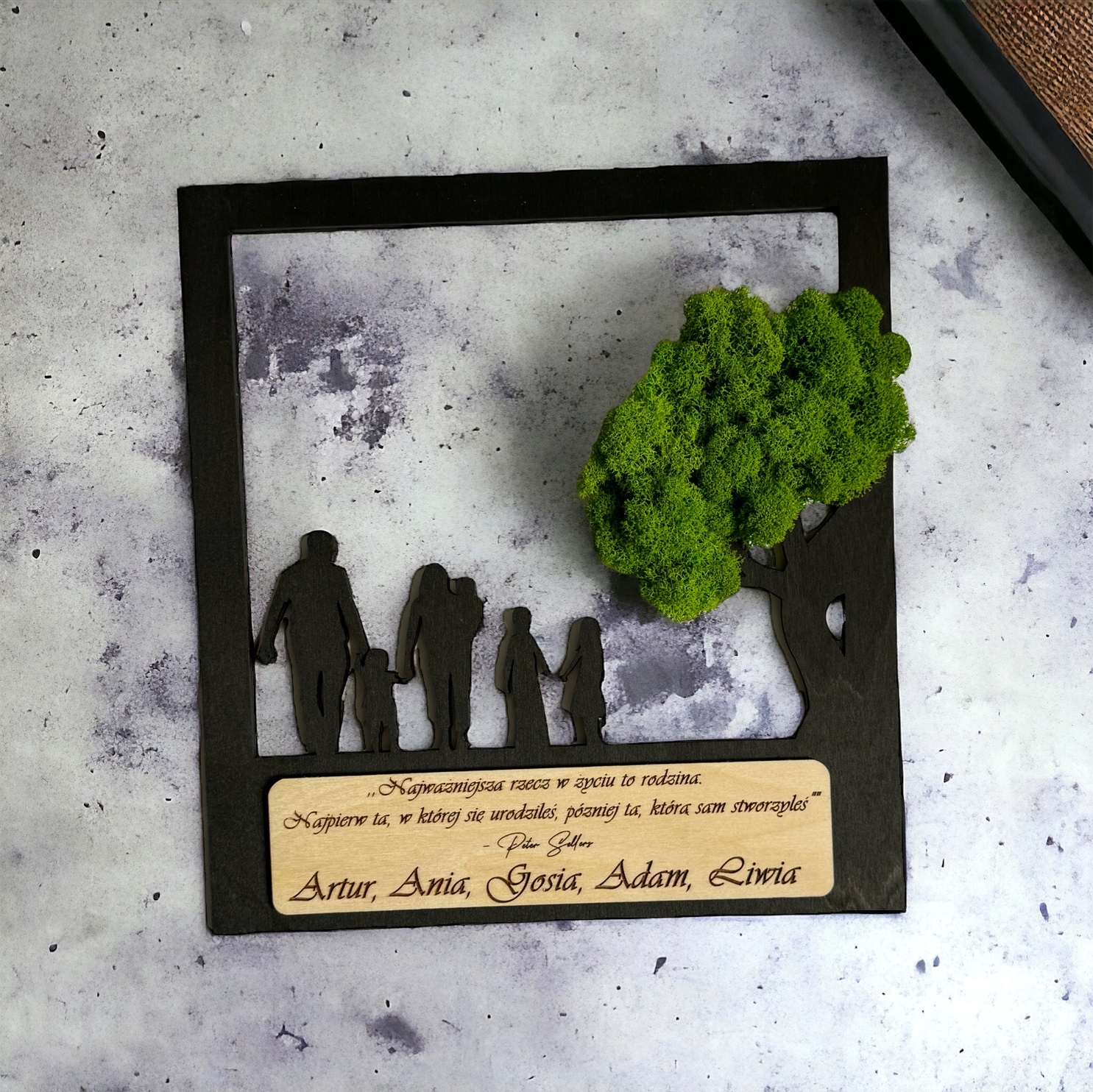 OBRAZ do SALONU RODZINA drzewko BONSAI mech chrobotek DRZEWO ŻYCIA Kod producenta OBRAZ do SALONU RODZINA drzewko BONSAI mech