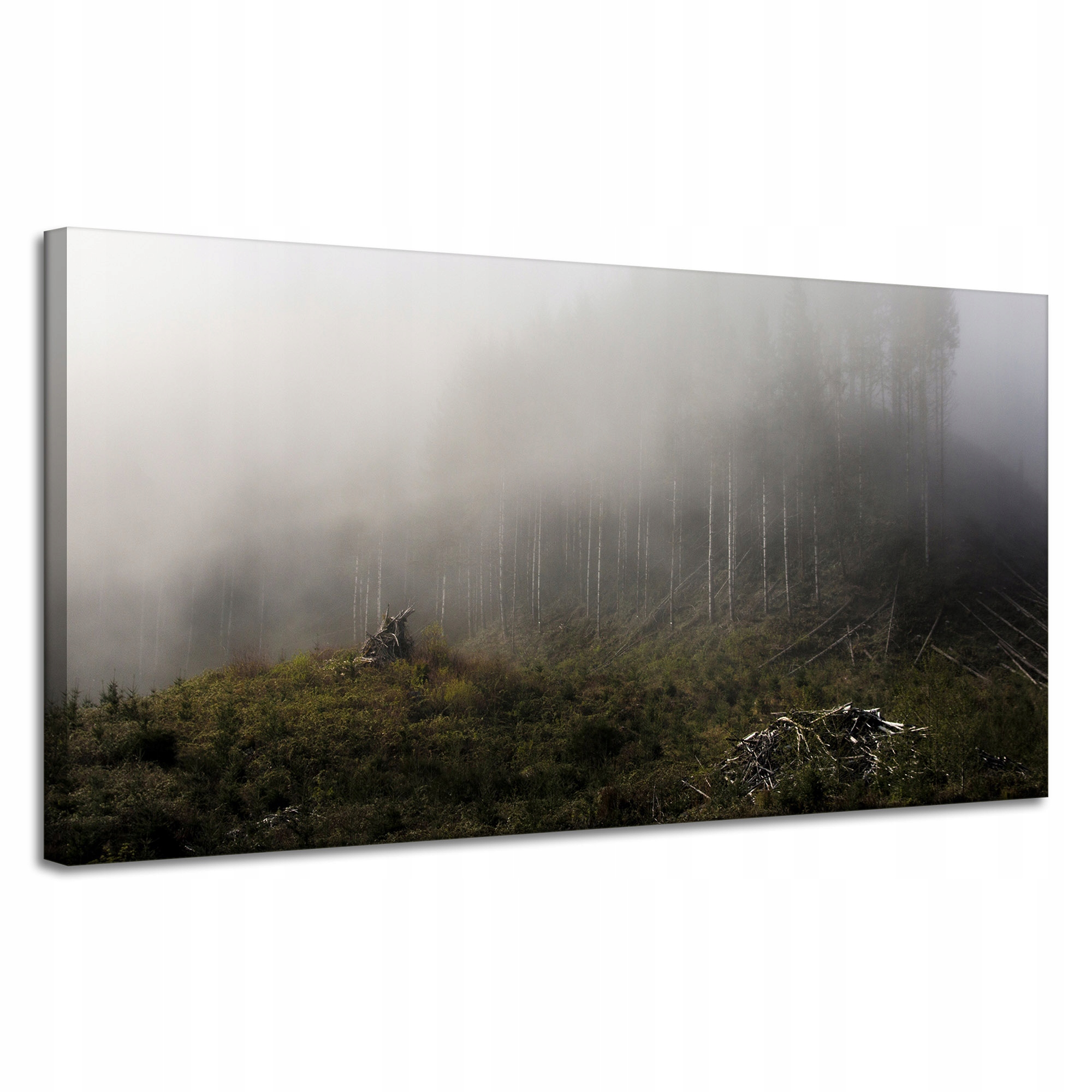 Obraz Canvas Příroda Mlha v horském lese 120x60 cm