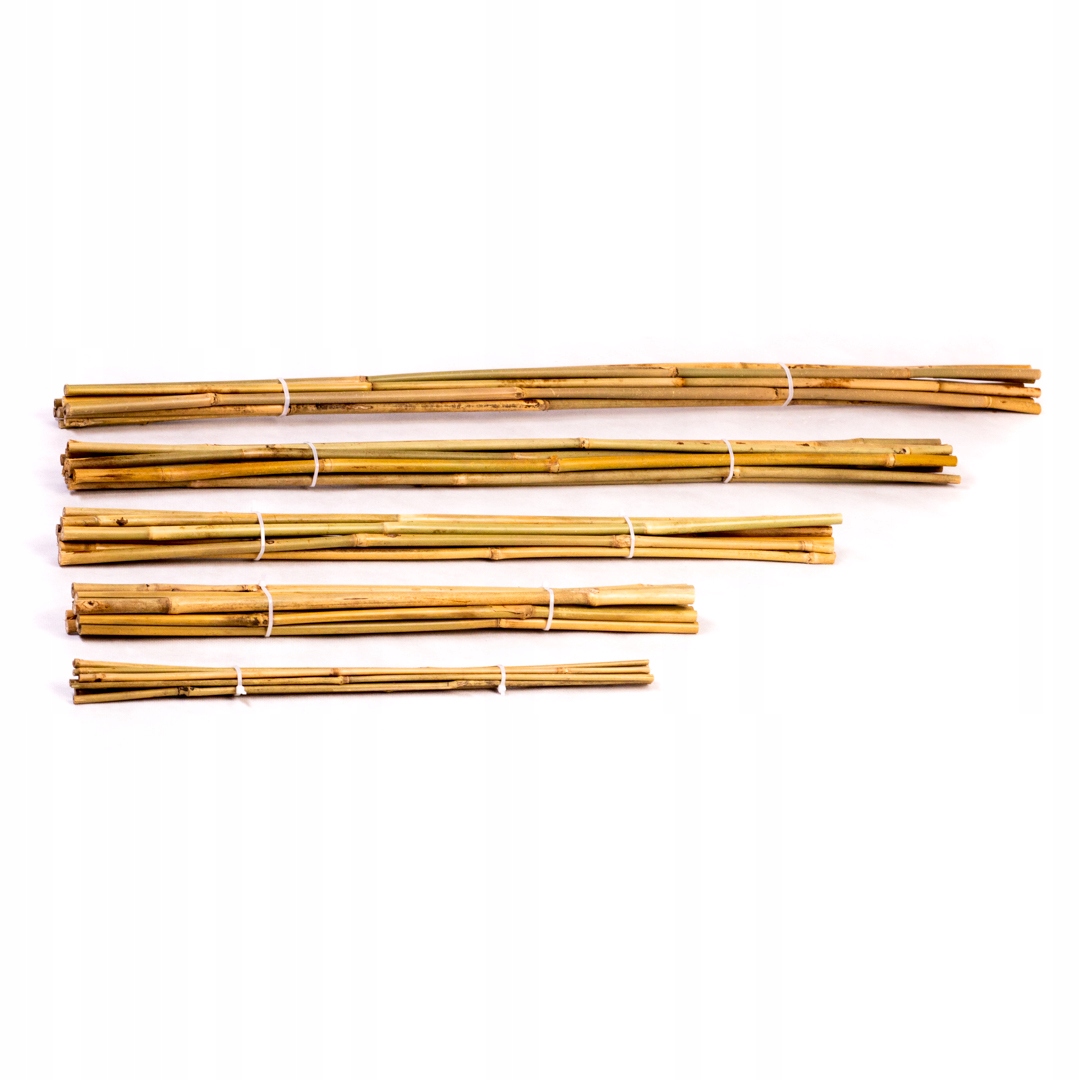 

Tyczki bambusowe 75cm 8/10mm 100 sztuk