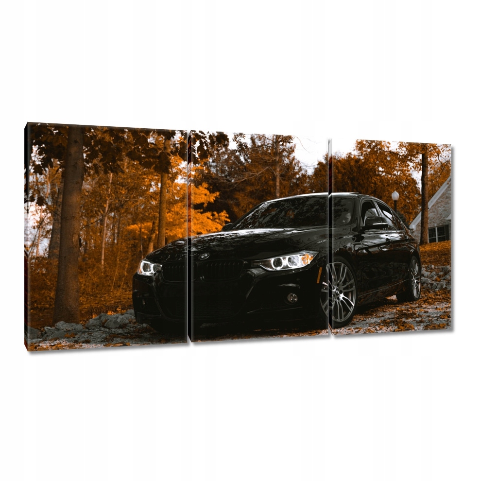 

Obrazy 120x60 Czarne Bmw Jesień