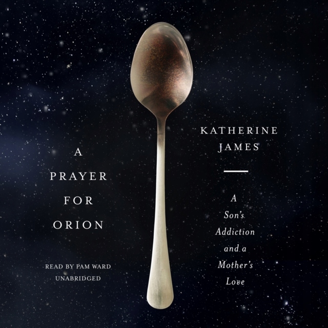 Prayer for Orion - James, Katherine AUDIOBOOK