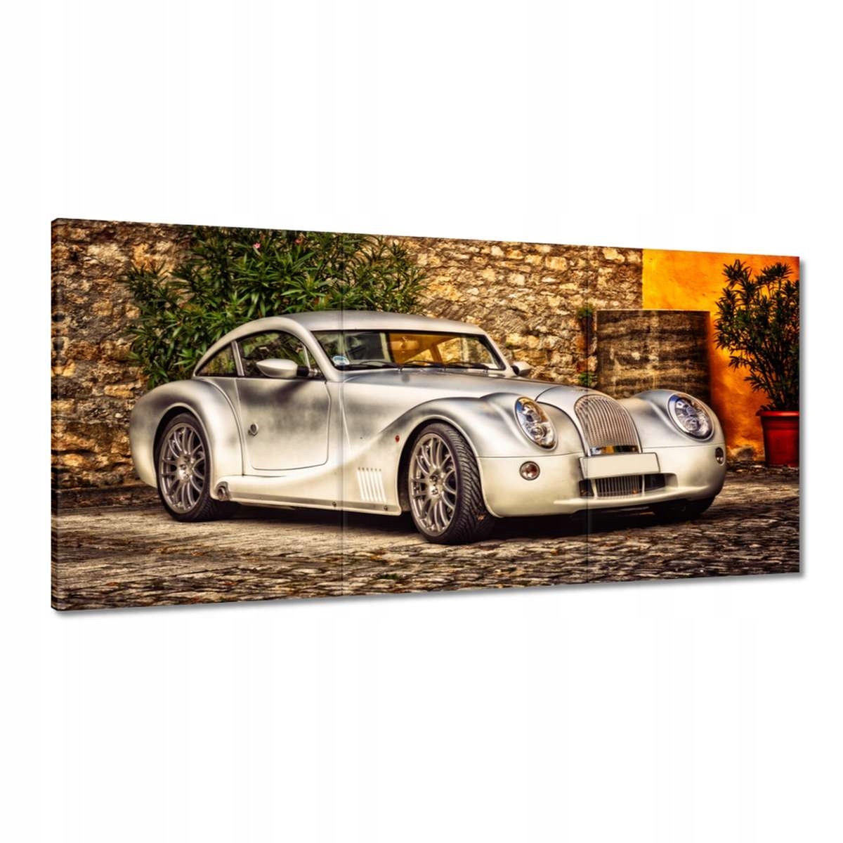 Obrazy 180x90 Auto Fura Sport