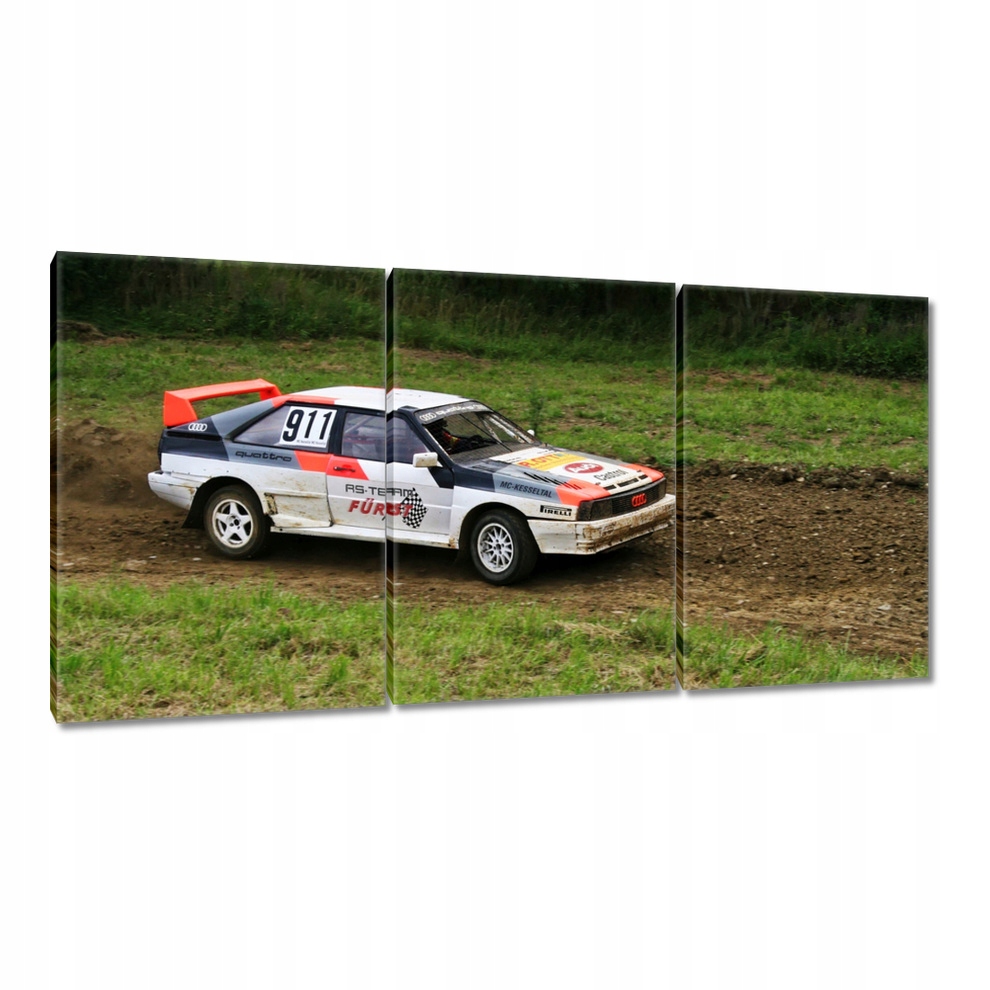 

Obraz 120x60 Audi Quattro na trasie