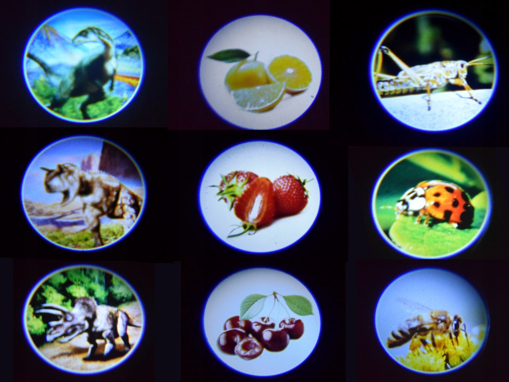 Projektor latarka dla dzieci 24 obrazki TA0098 Materiał plastik