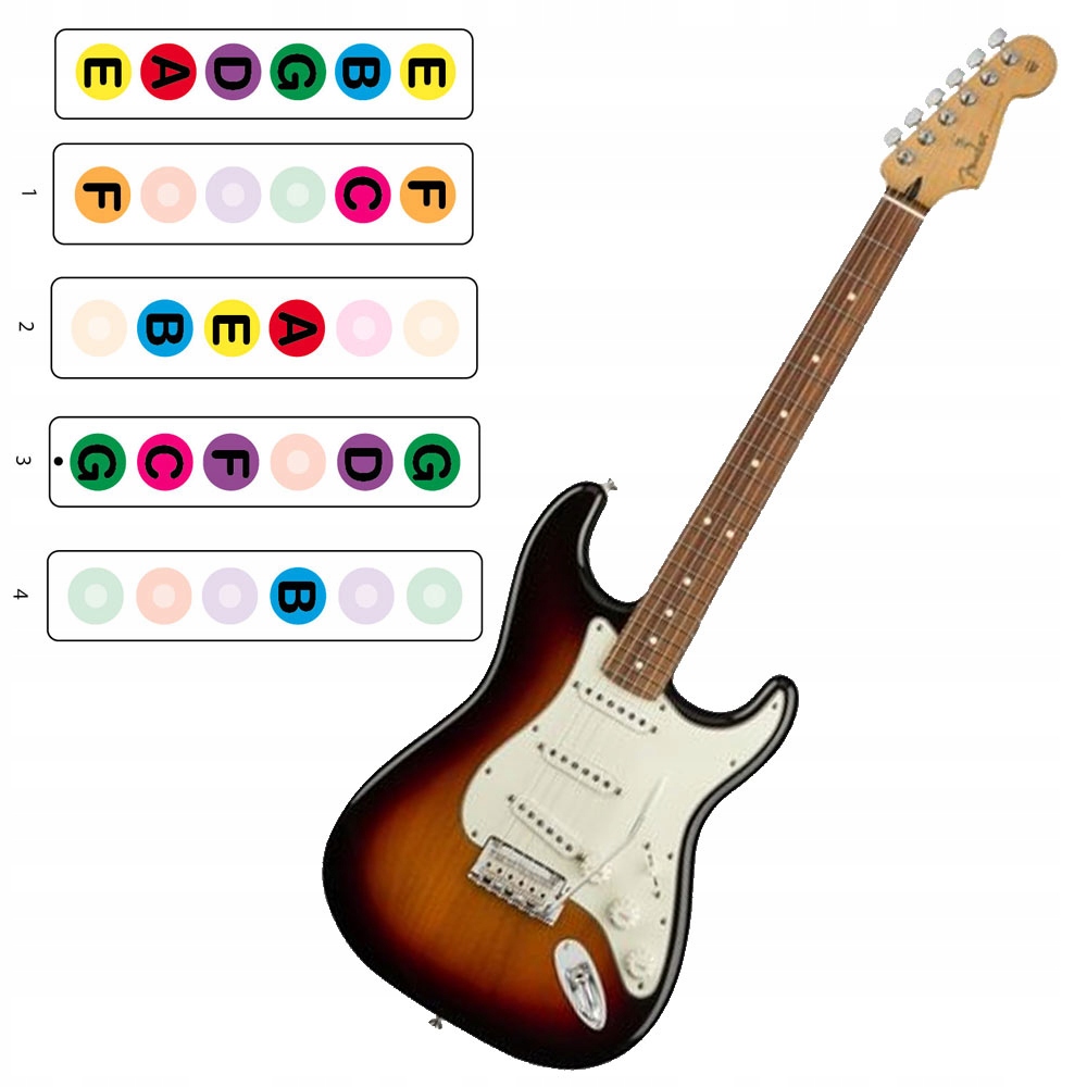 

Naklejki na gitarę gryf elekt. kals.