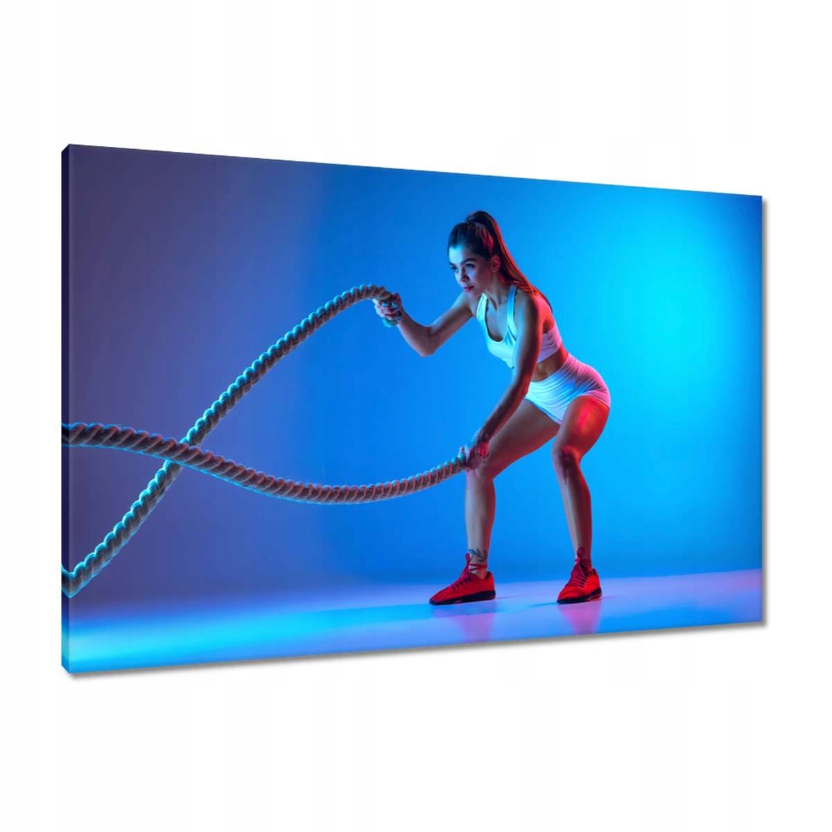 Obrazy 90x60 Cvičení s lany