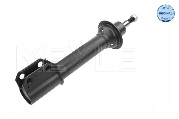 Tlumič Nárazů Renault P. Megane 96-/SCENIC 16-266130008