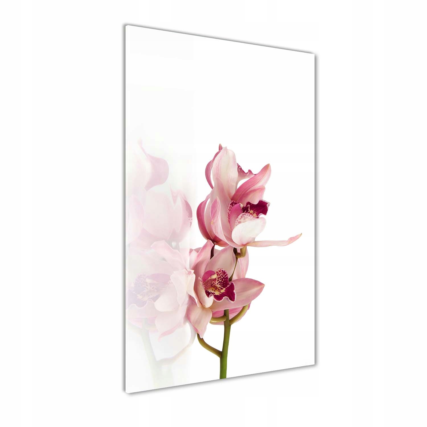 

Foto obraz na szkle pionowy Różowa orchidea 60x120