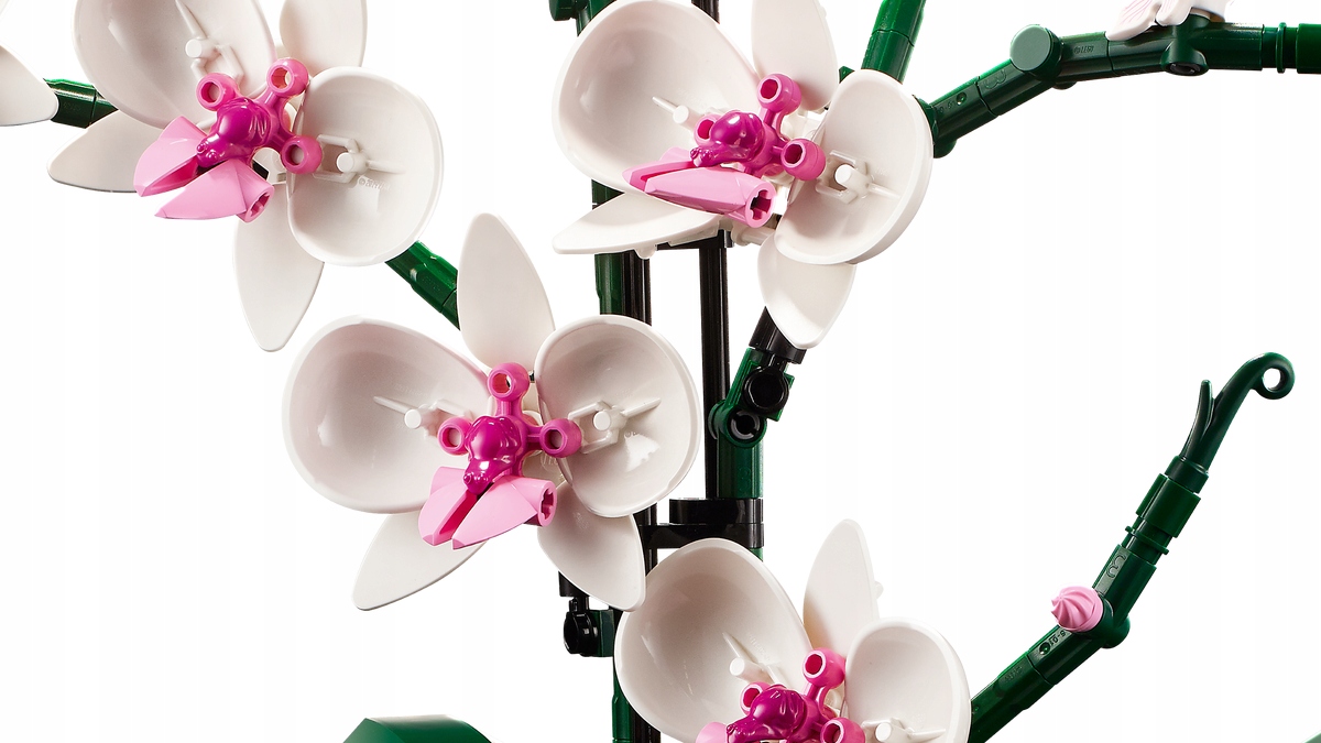 Storczyk LEGO Orchidea 10311 Creator Expert Kwiaty Klocki Prezent Dla Mamy Wiek dziecka 12 lat +