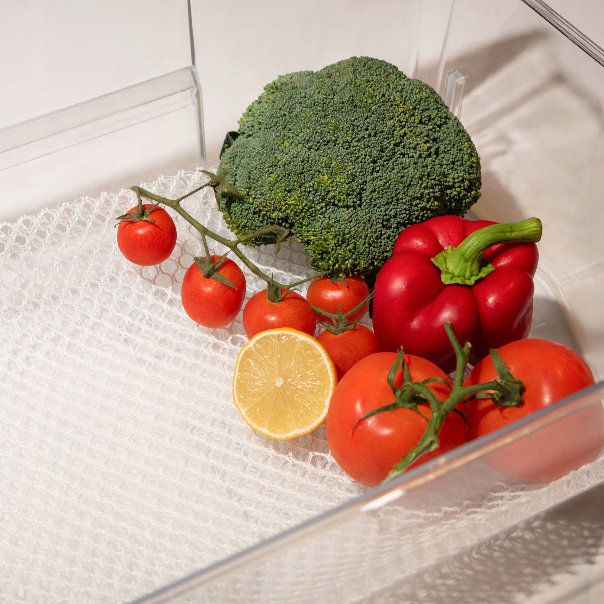 Sillar mata antypleśniowa antybakteryjna do lodówki do żywności 31x37 cm Kod producenta SIL062