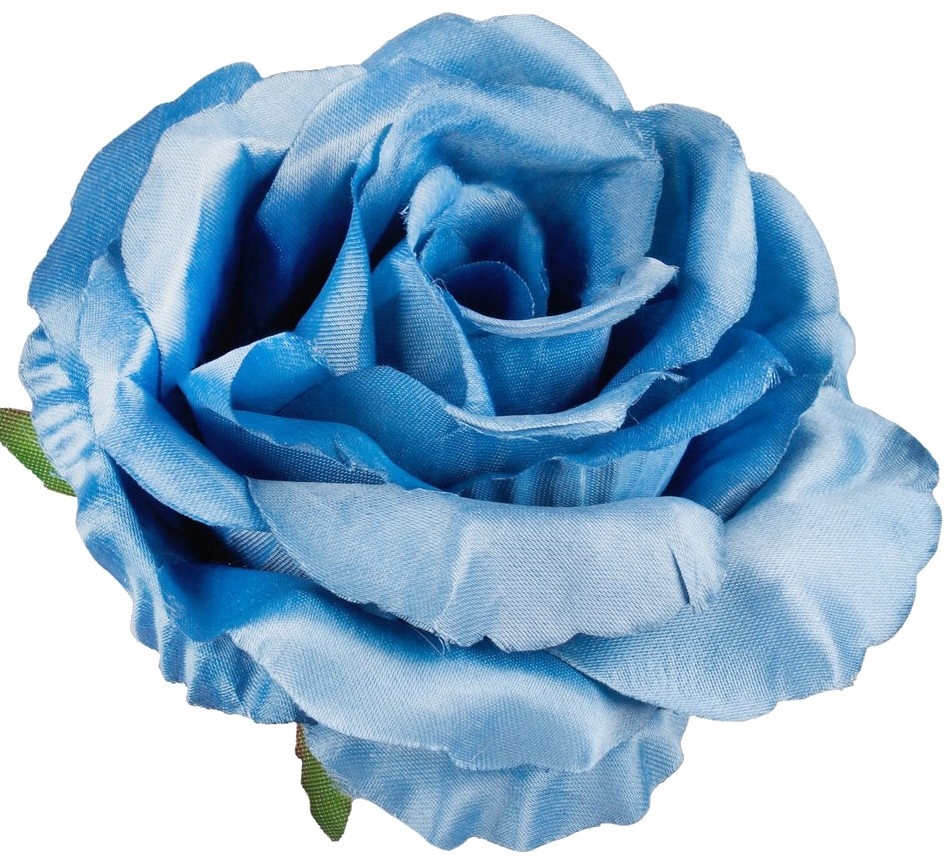 Róża piękna duża główka kwiatowa W708-15