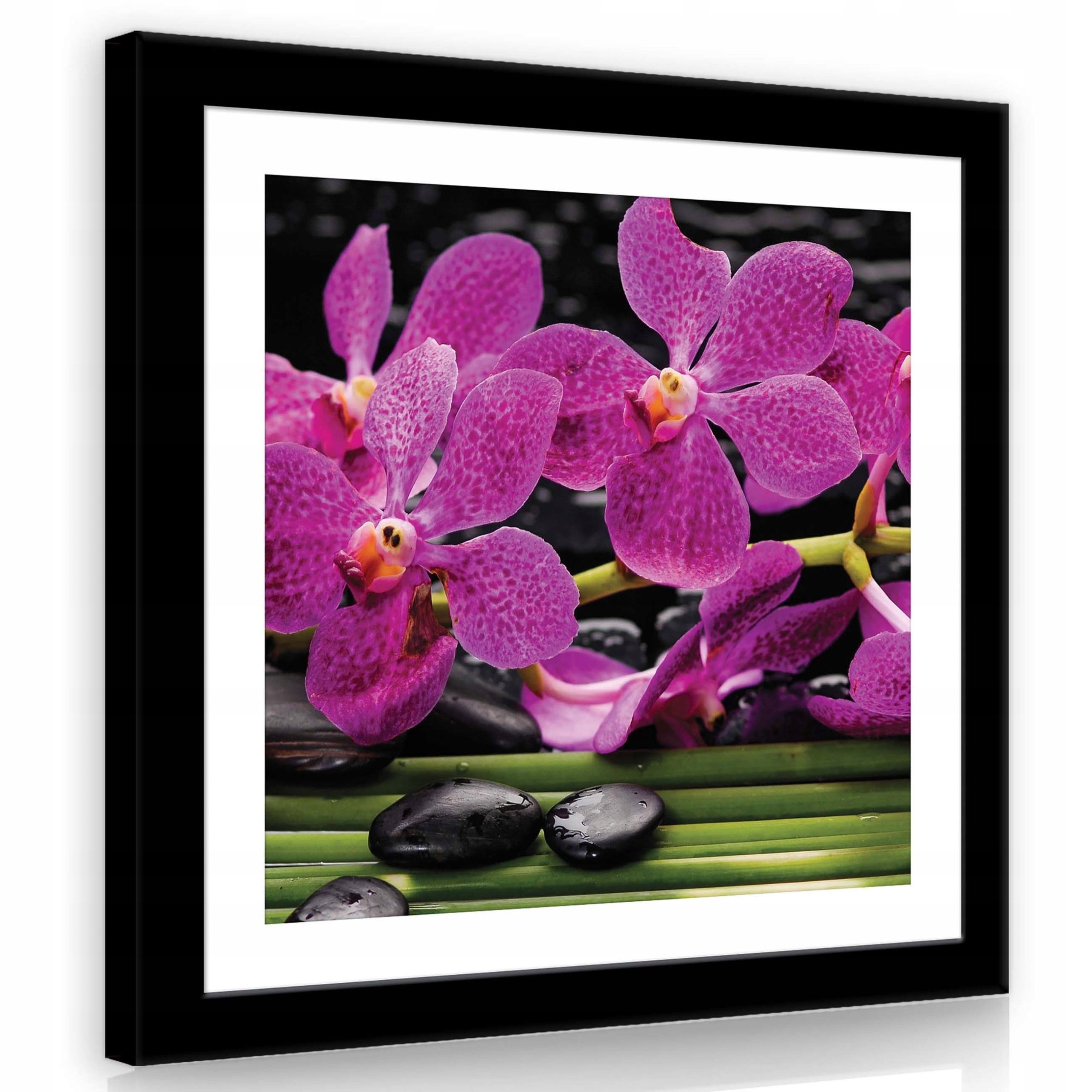 Obraz 80x80 Purpurové orchideje černé kameny bambus zen klid krása