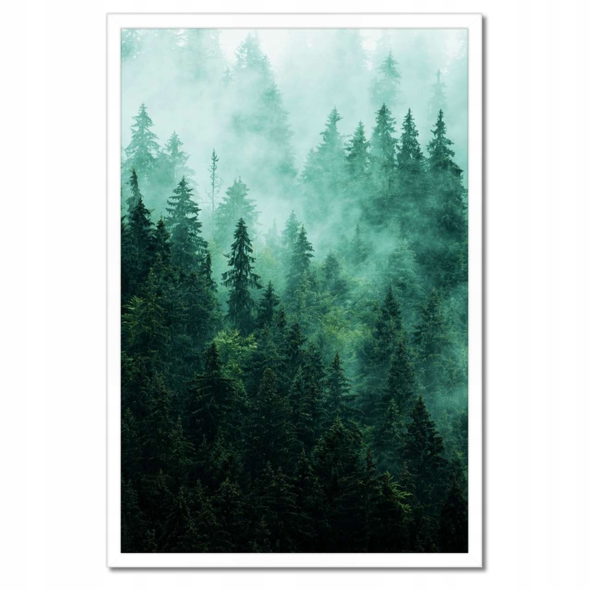 Plakáty v rámu 40x60 Les Mlha Krajina Cestování