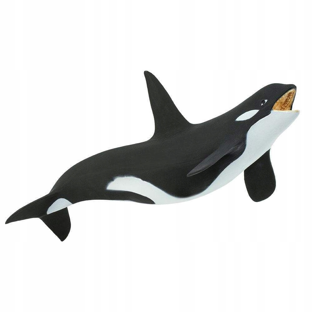 

Orka Orca Safari Ltd. 275129