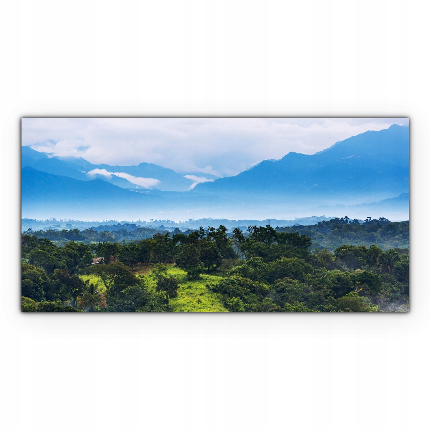 

Obraz canvas płótno 100x50 Dżungla Las Krajobraz