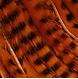 Taimen Barred Zonkers Strips Bnt. Orange