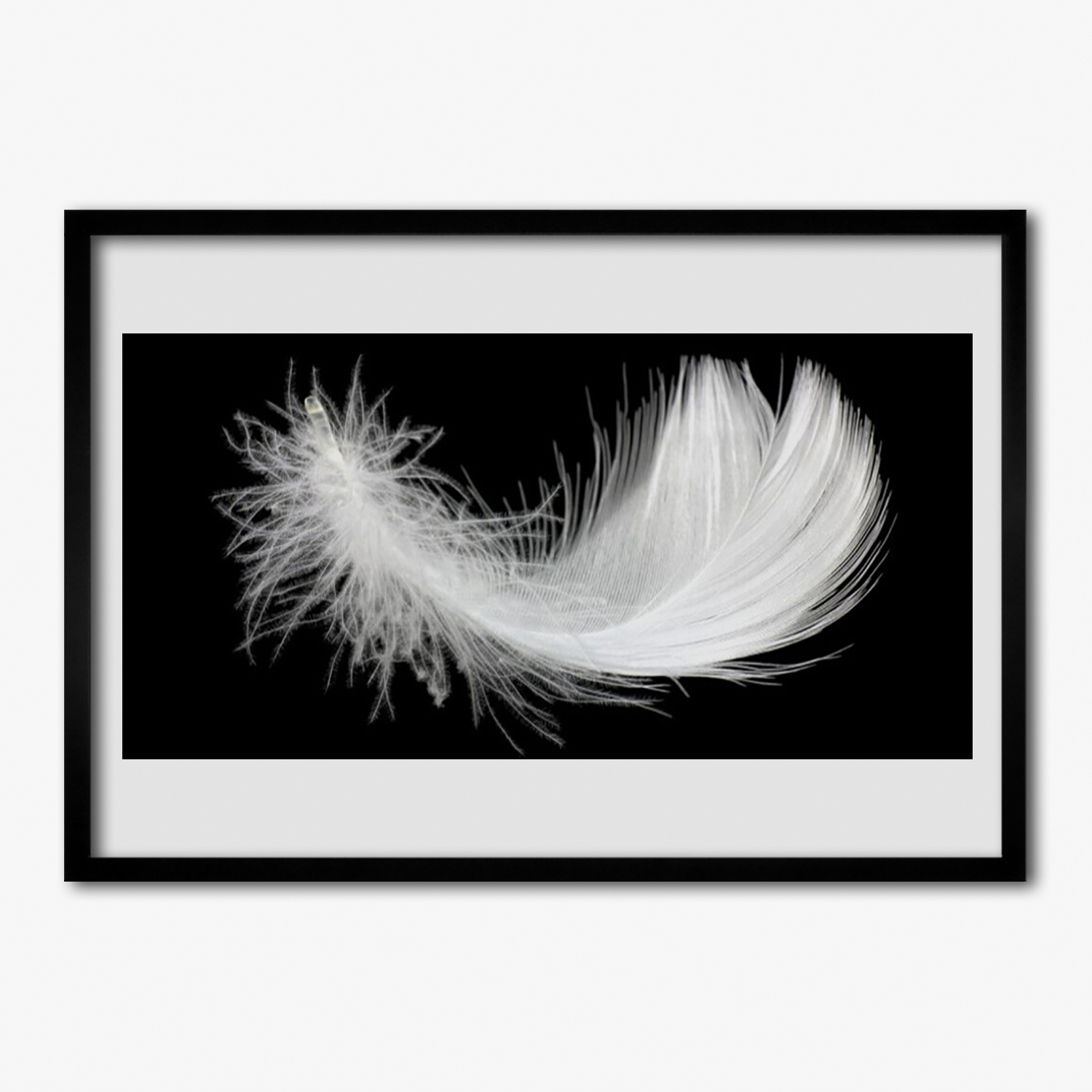 Fotoobraz s rámečkem Černobílé pero 100x70 cm