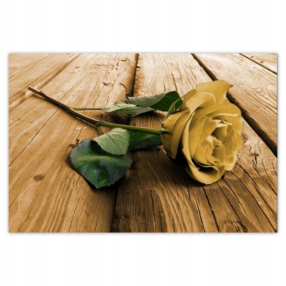 

Plakat 93x62 Róża na deskach