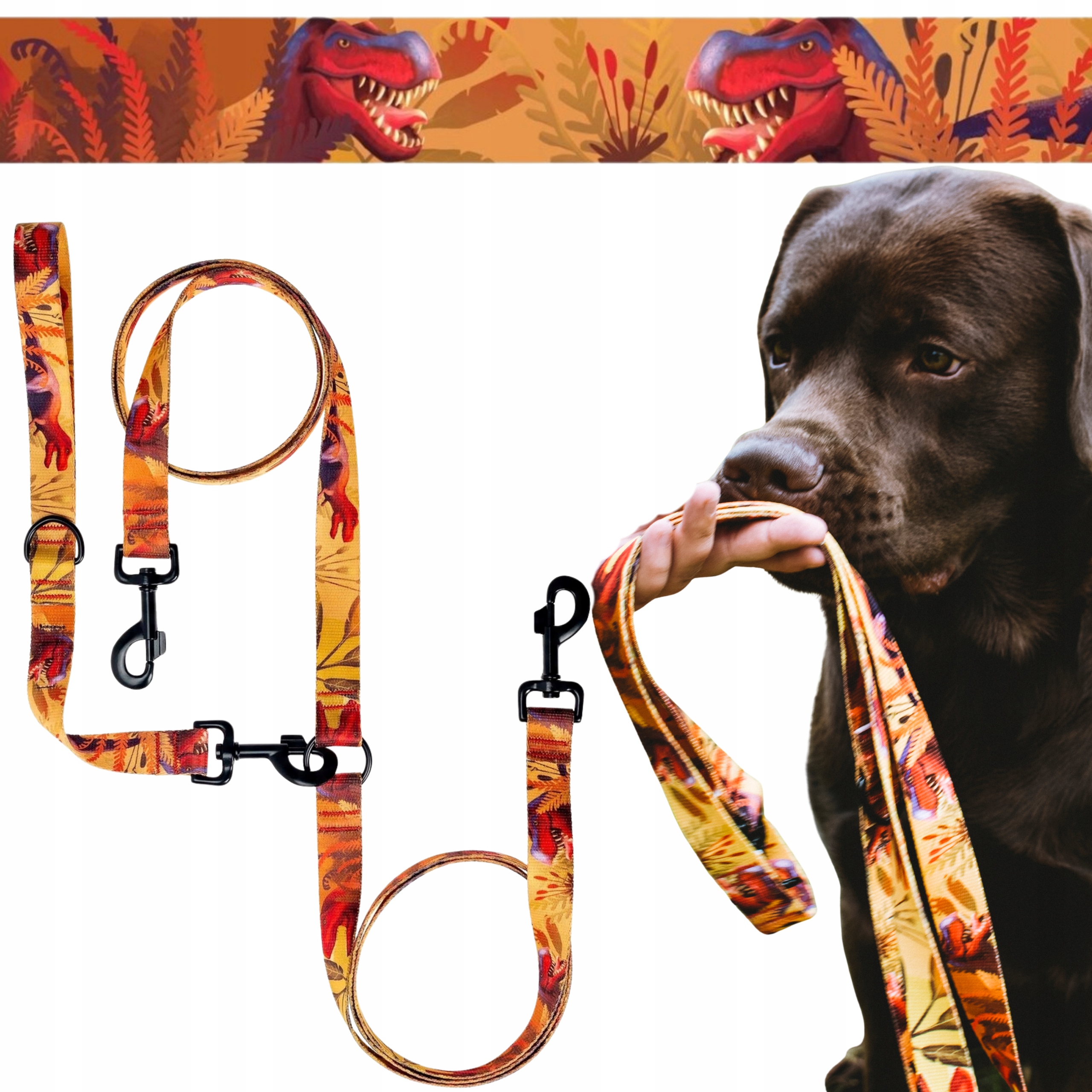 Levně Vodítko Dvojitá páska pro 2 velké psy 1,38 m 2,5 cm Ukory Dinosauři vzor