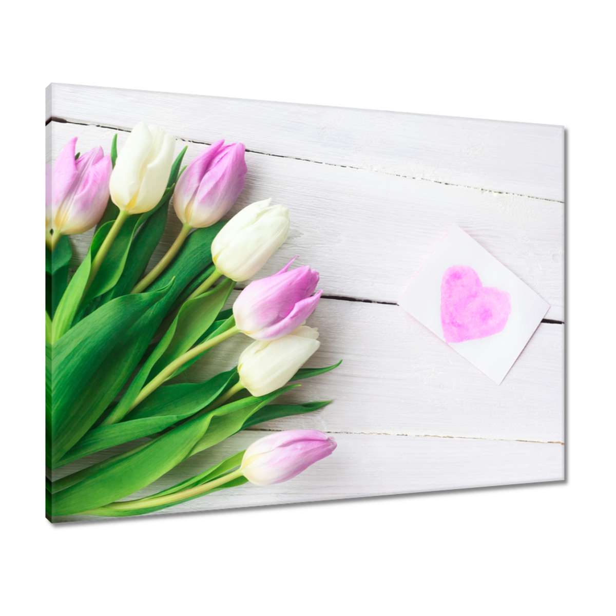 Obrazy 80x60 Jemné tulipány