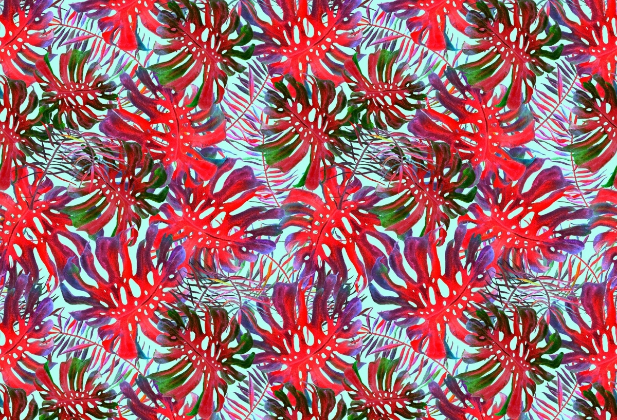 

Tapeta Flizelinowa Monstera dziurawa - 104x70
