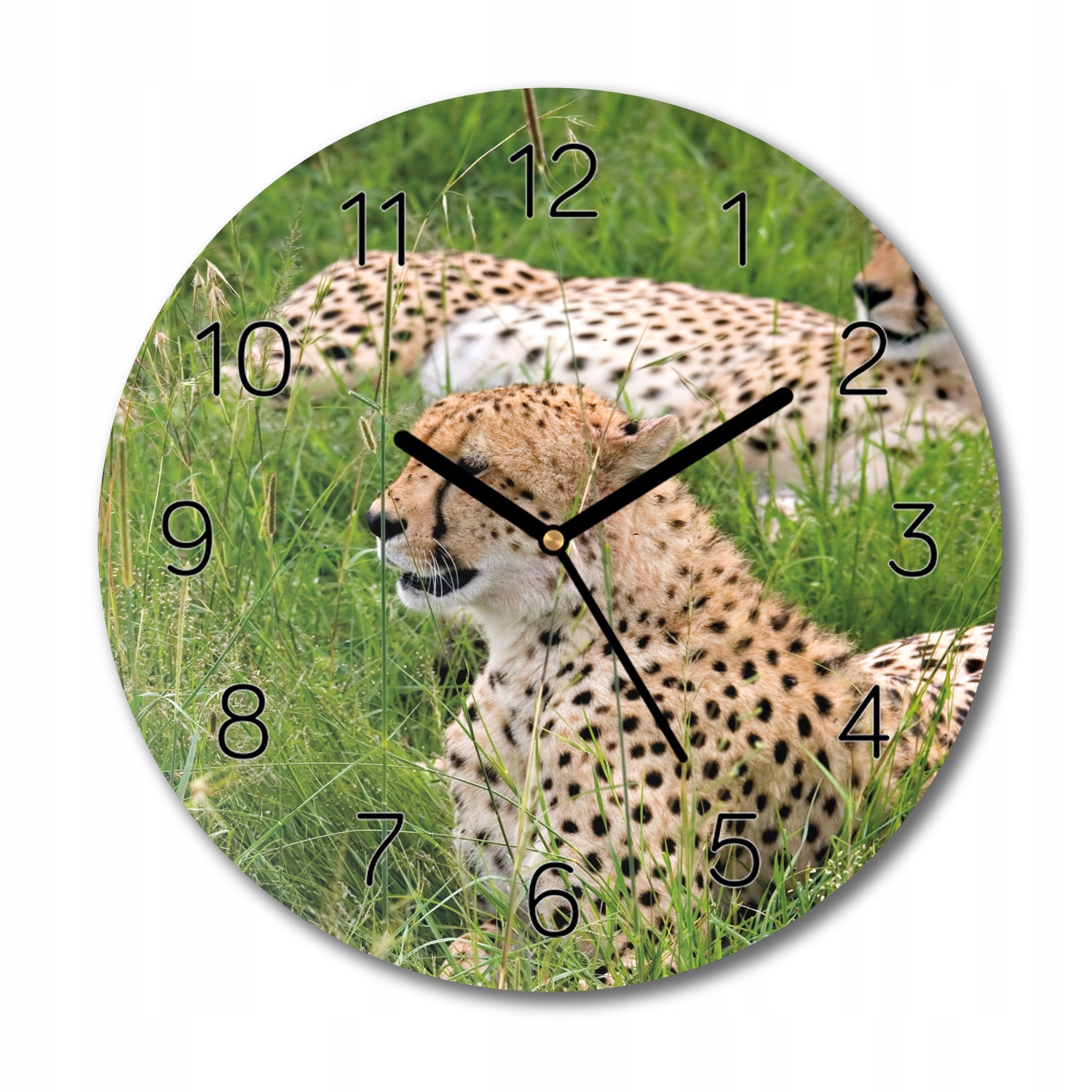 skleněné hodiny Gepard tráva příroda do kuchyně fi 30