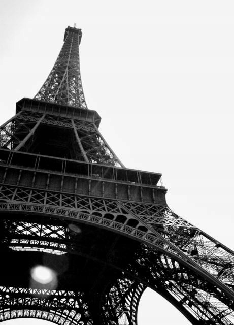 

Wieża Eiffel, Paryż - fototapeta 254x183 cm