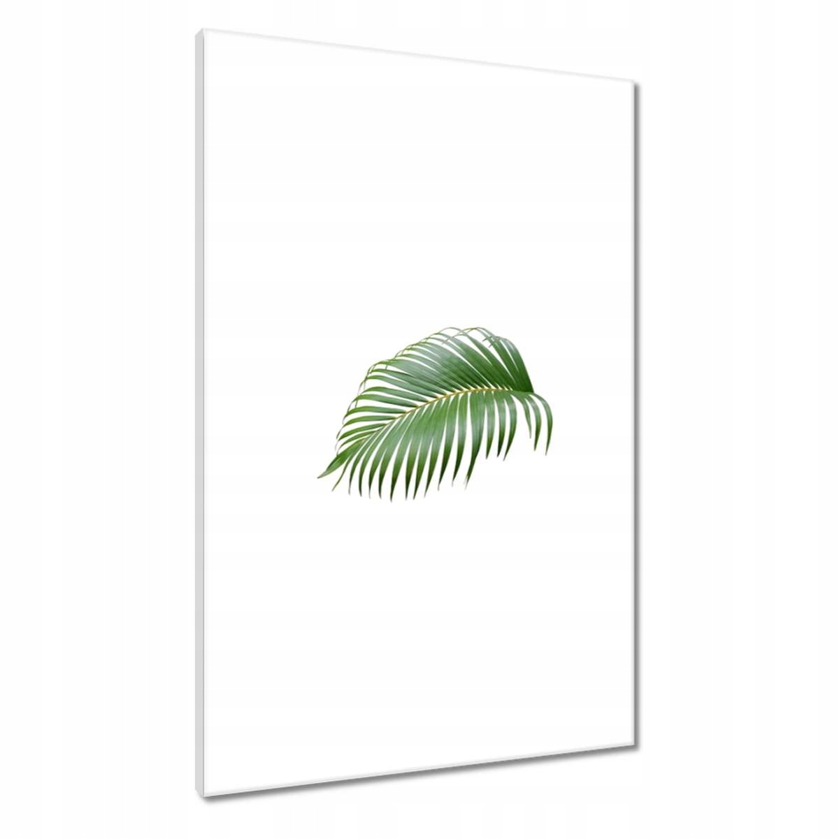 Obrazy 60x90 Zelený list Minimalismus