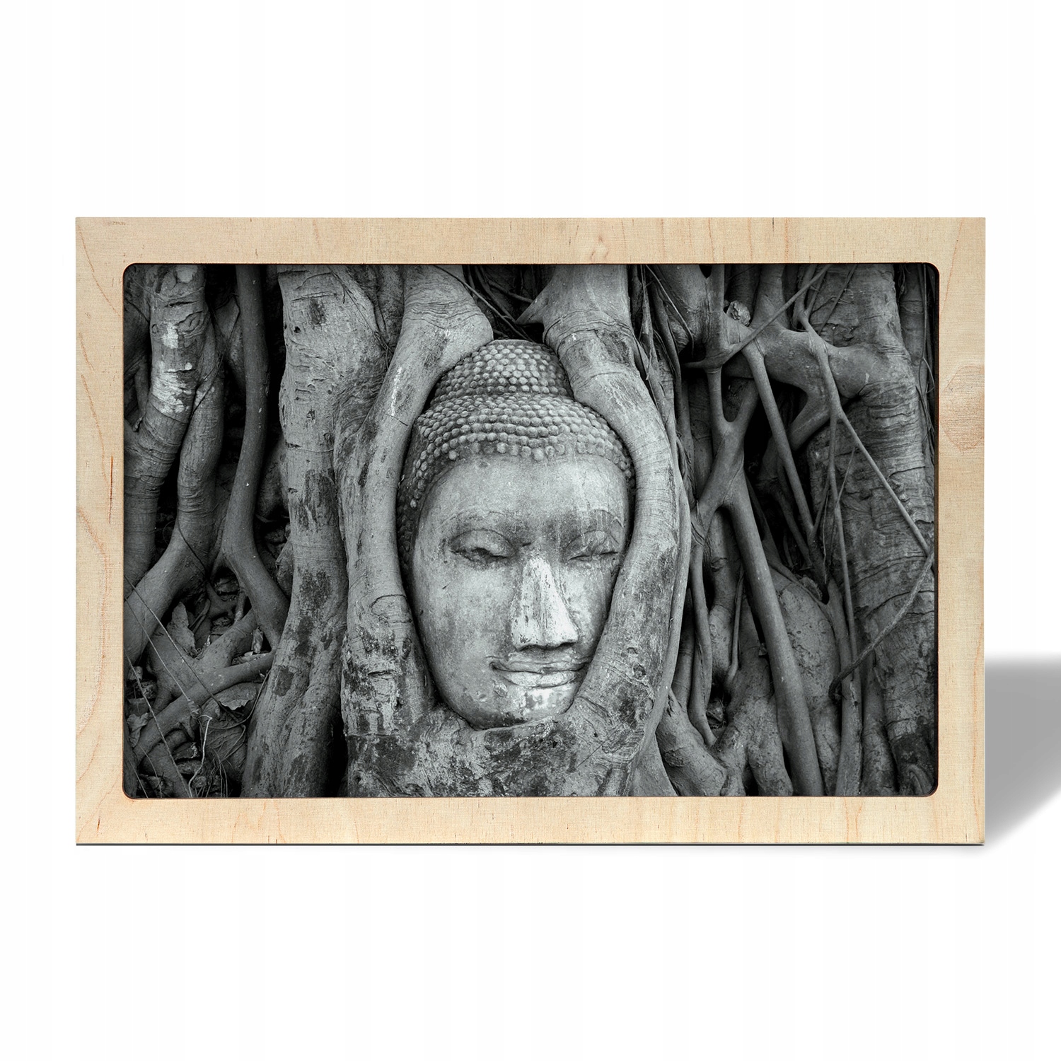 Fotoobraz na stěnu s rámečkem Buddha ve stromě 55x35