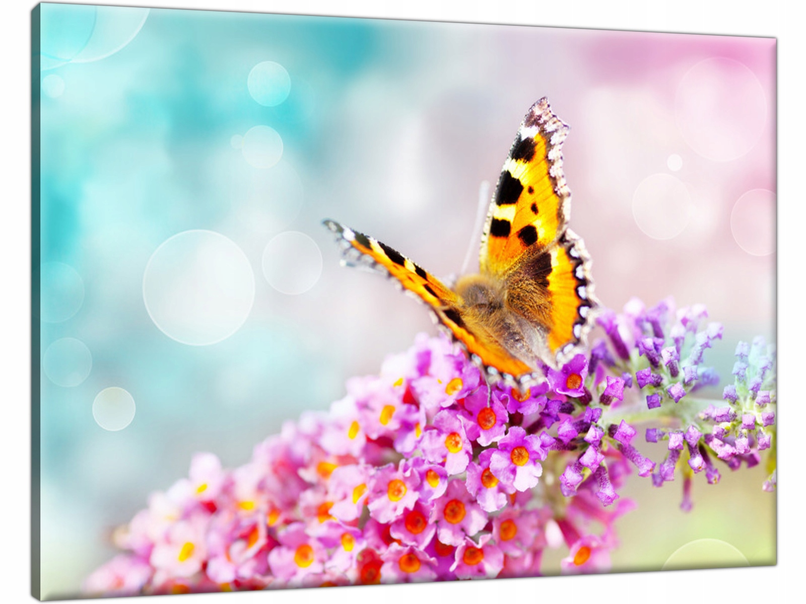 

Piękny Obraz Motyl Kwiaty 70x50 dla córki pokoju