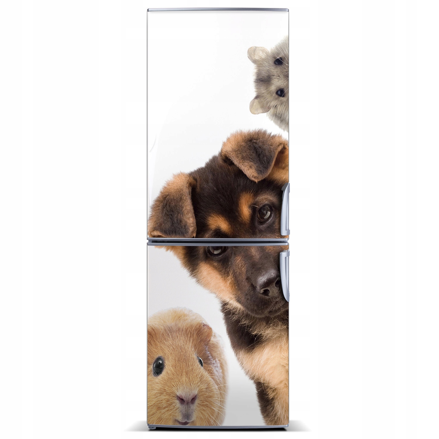 

Naklejka Magnes na lodówkę Zwierzęta domowe 60x180