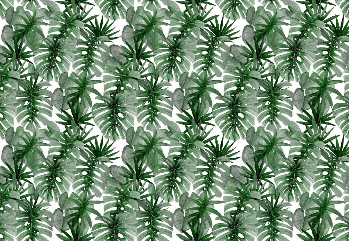 

Tapeta Flizelinowa Tropikalna Monstera 152x104