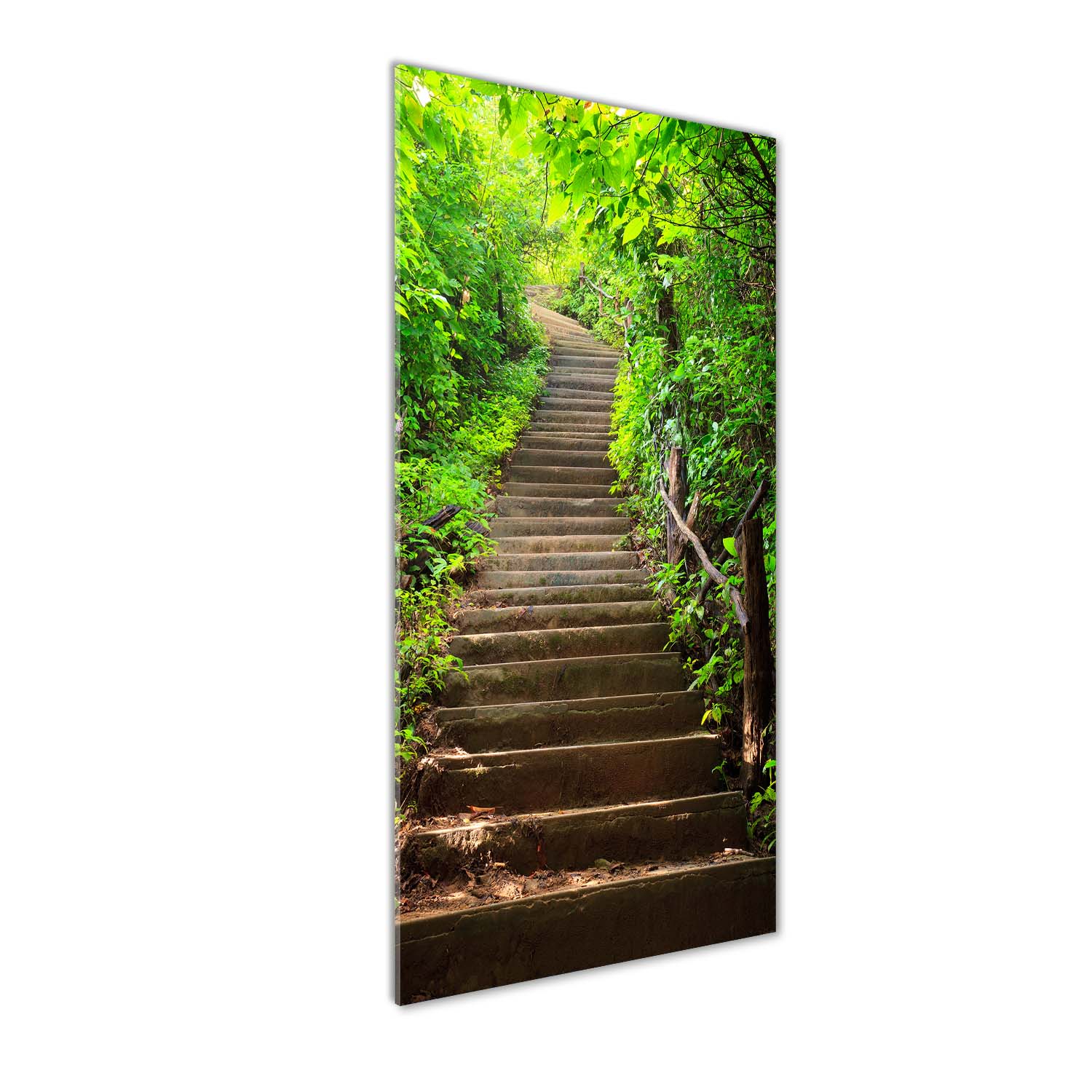 

Foto obraz akryl do salonu Schody do lasu 50x125cm