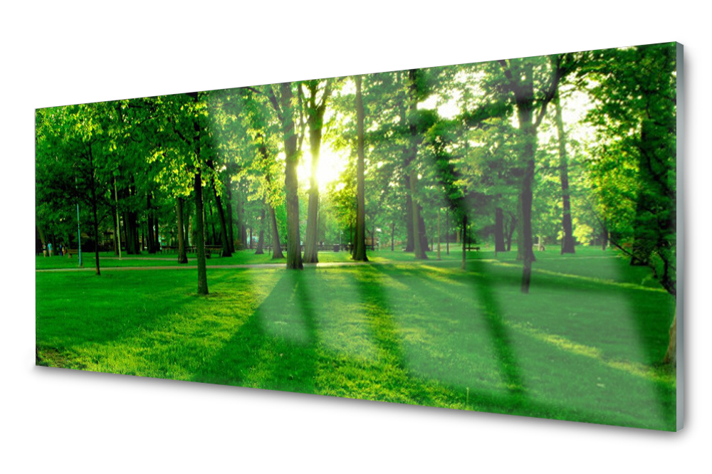

Lacobel Szklany Dekor Szkło Foto Płytka Las 140x70