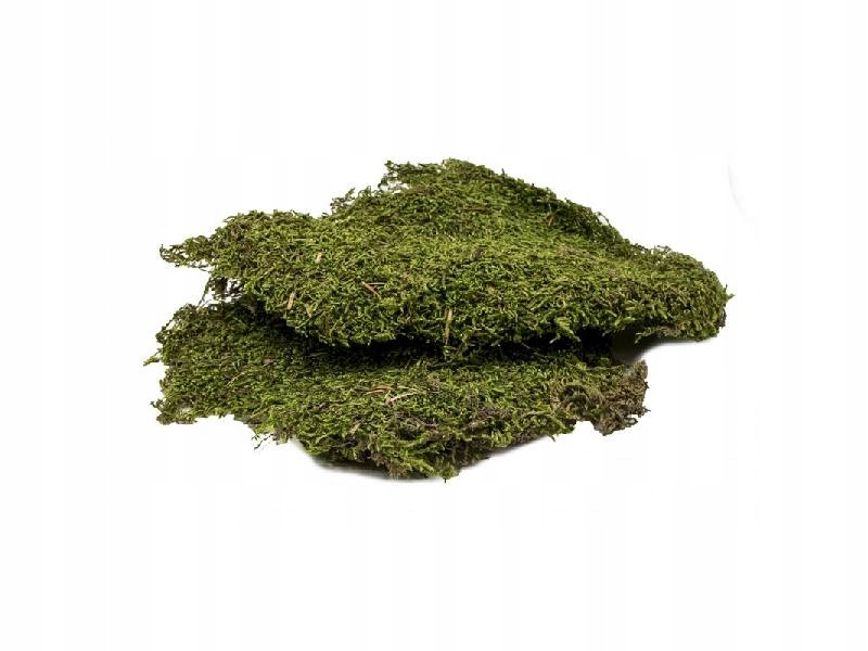 

Mech suszony do terrarium 50g