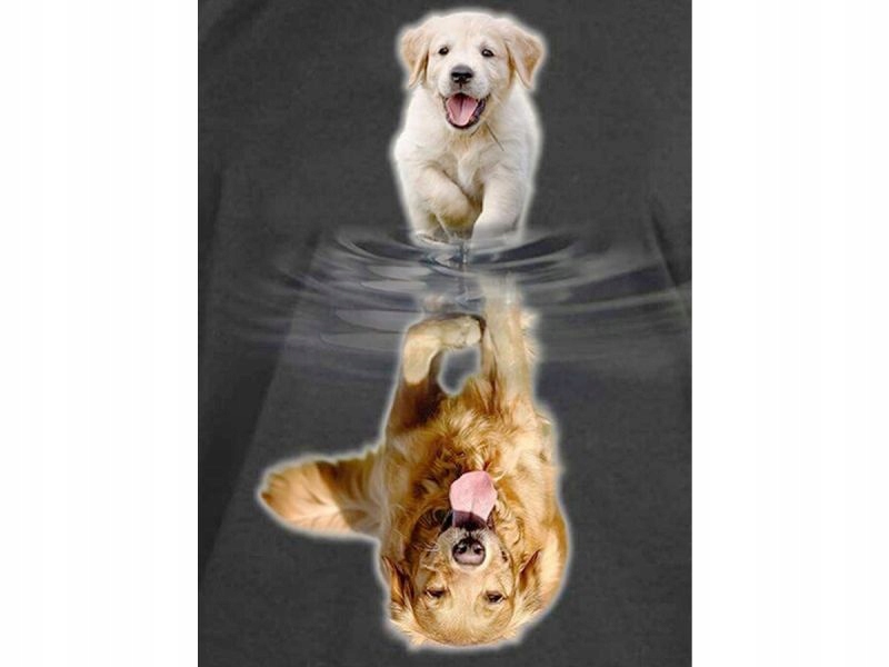 

Haft Diamentowy Obraz Mozaika Odbicie Lustra Pies