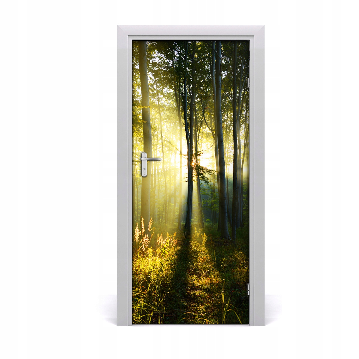 

Fototapeta samoprzylepna na drzwi Las krajobraz