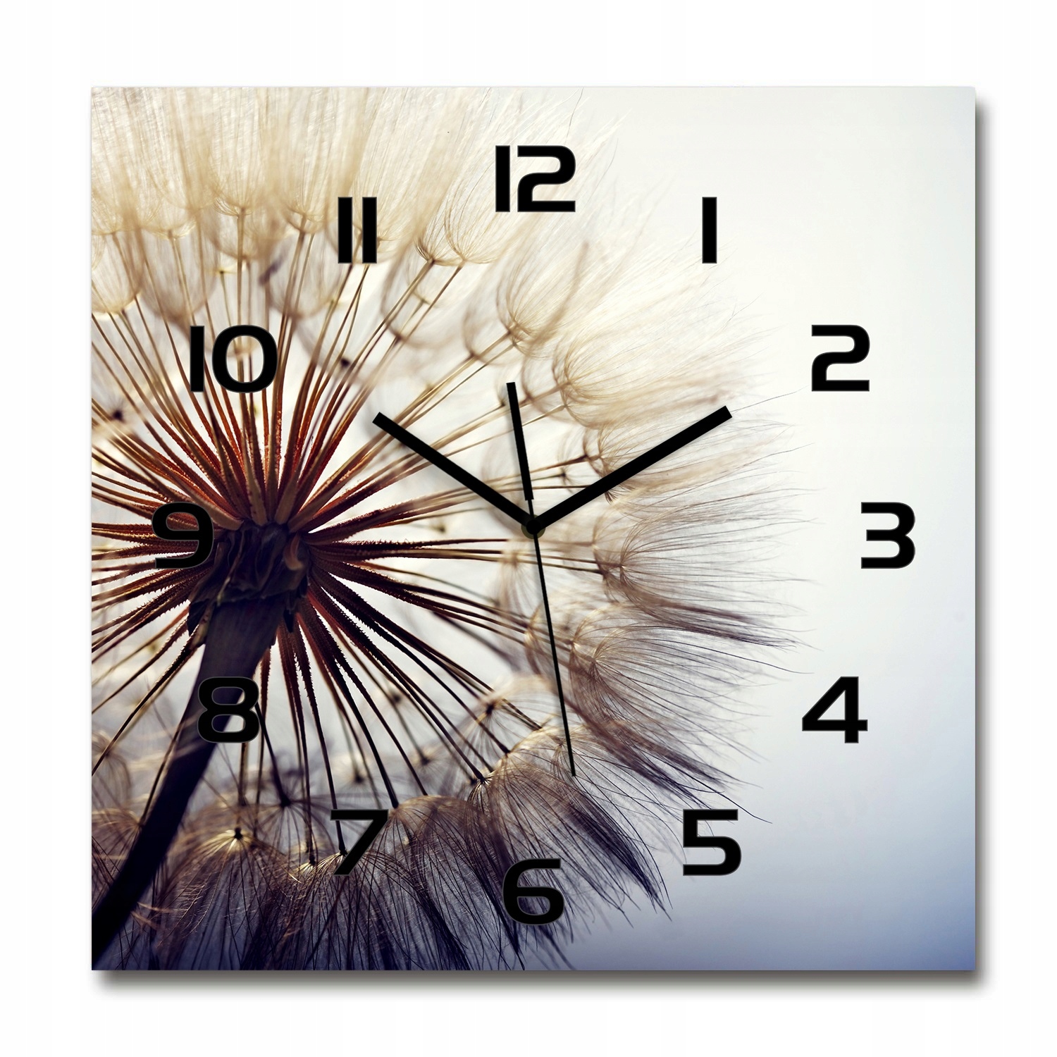 

Duży kwadratowy szklany zegar Dmuchawiec 60x60 cm