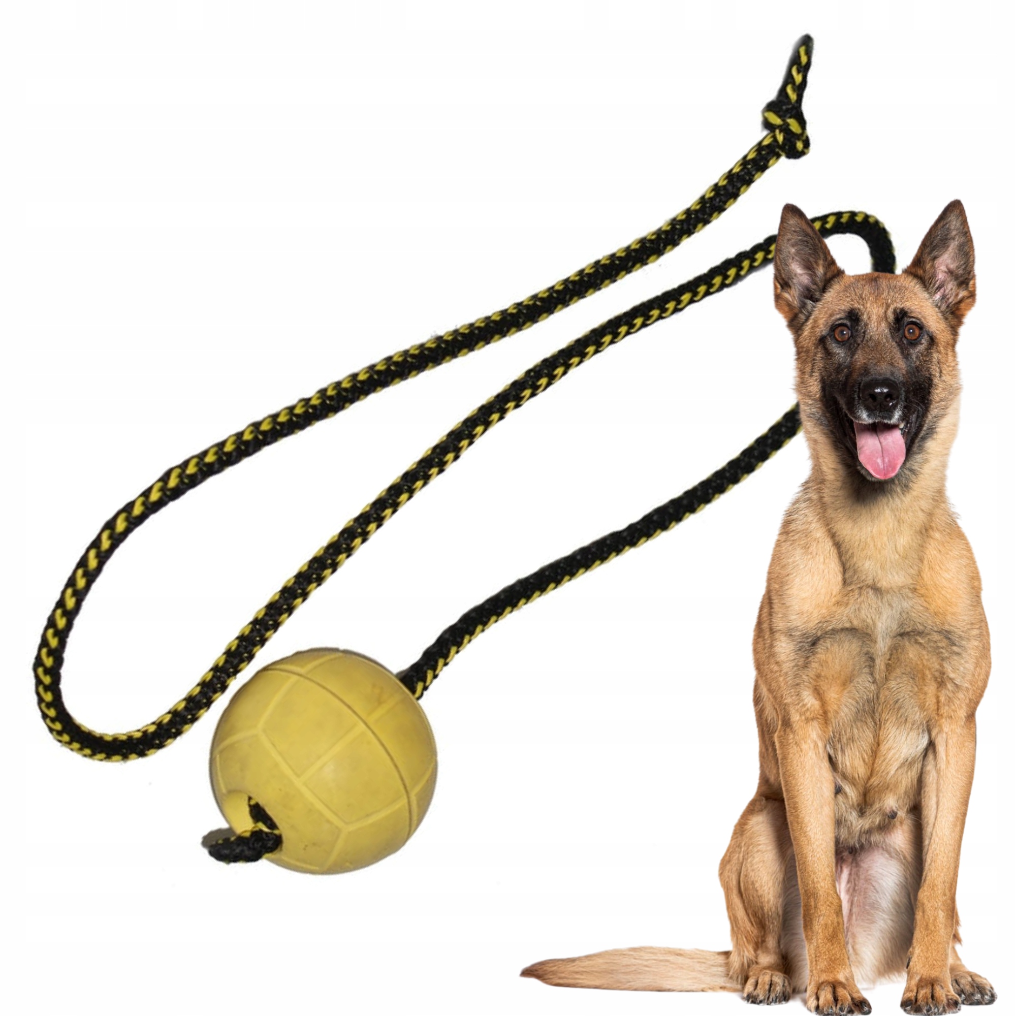 Levně Hračka Pro Psy Pro Psa Plovoucí Na Vodě Gumový Míček 7 CM Na 100 CM Šůrce