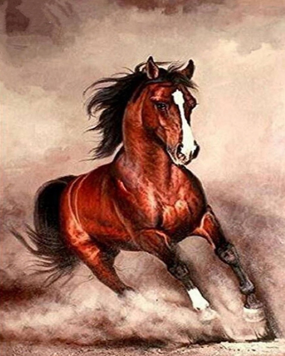 Diamantová Výšivka Diamond Painting Mozaika Kůň Galop 45x55 cm K