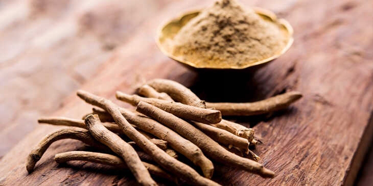 NASIONA ASHWAGANDHA - Żeń-szeń indyjski Withania