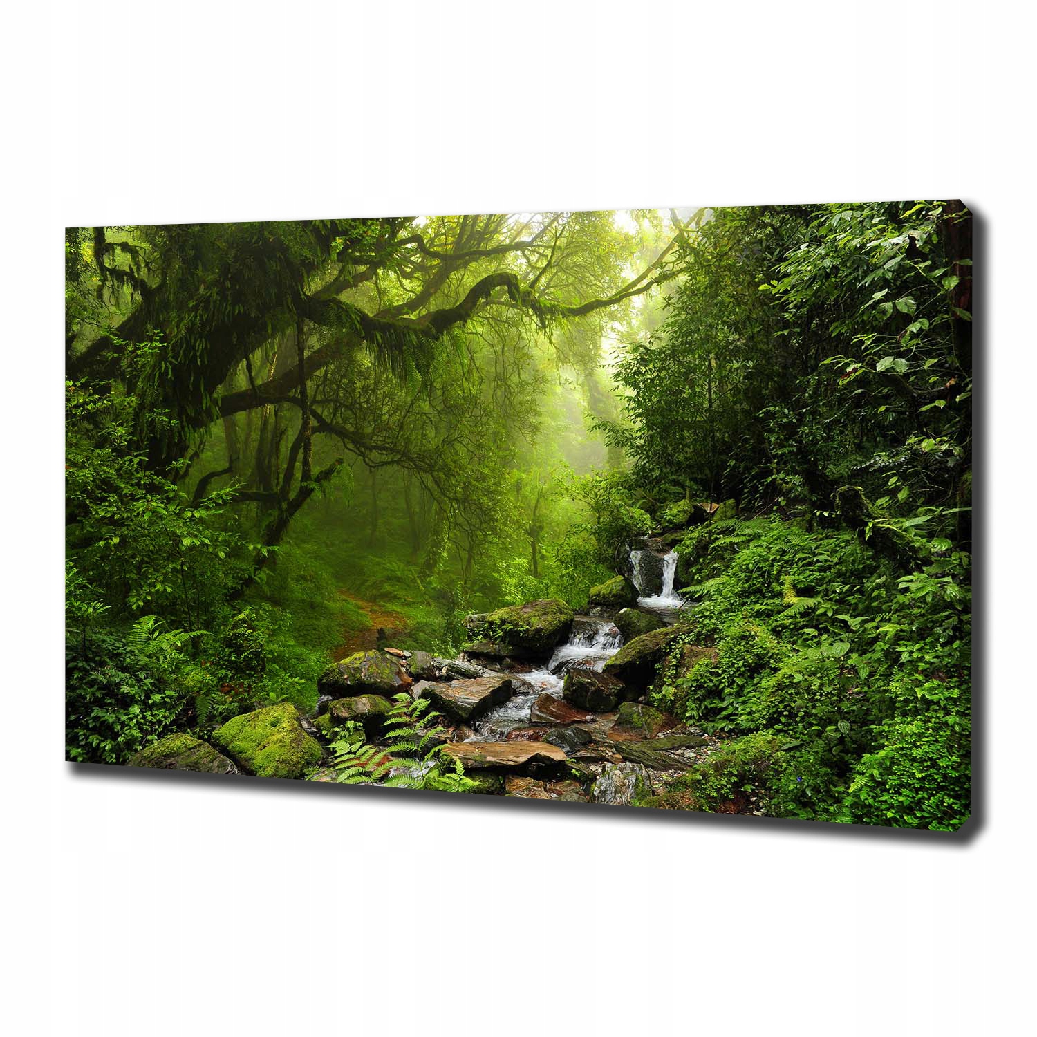 

Foto obraz na płótnie Dżungla w Nepalu 100x70 cm