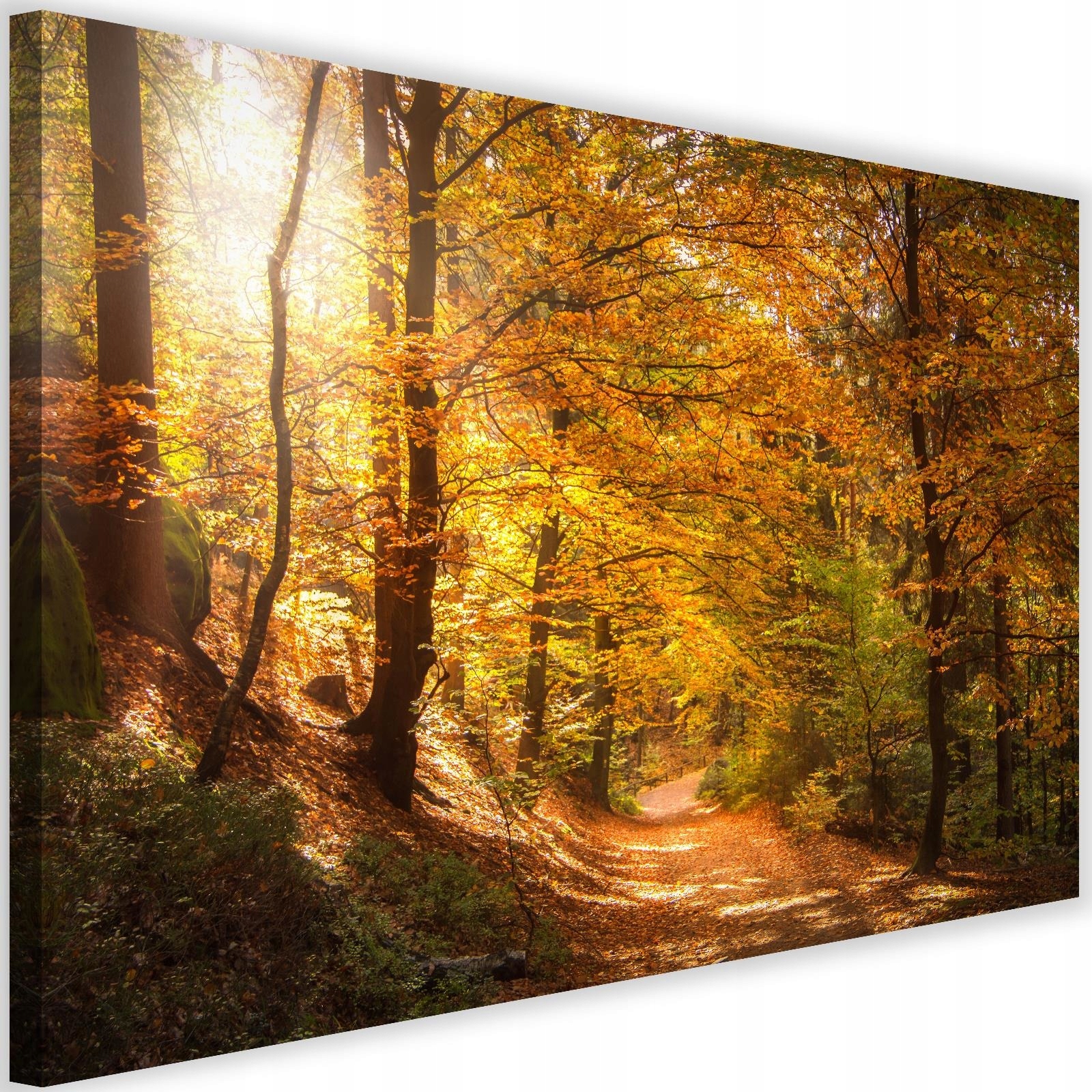 

Obraz Las Jesień Natura Do Salonu Płótno 120x80