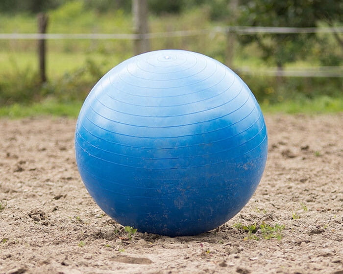 Míč pro koně Qhp fotbal modrý