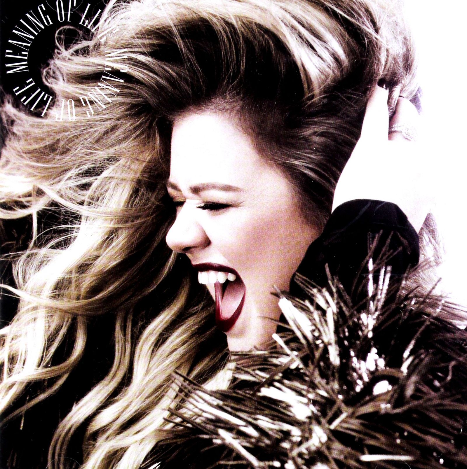 Kelly Clarkson: Meaning Of Life [CD]