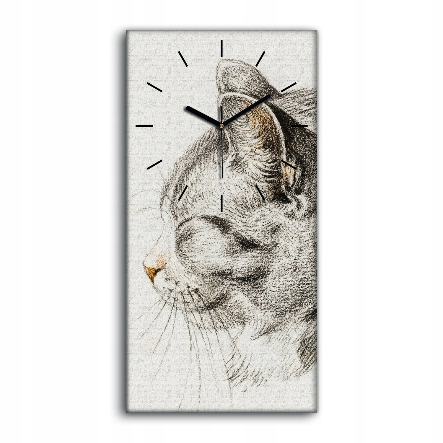 Nástěnné hodiny na rámu s grafikou Zvíře kočka 30x60